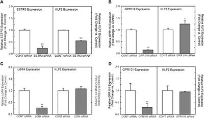 Identification and validation of G protein-coupled receptors modulating flow-dependent signaling pathways in vascular endothelial cells